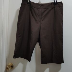 Investments Women's Chocolate Brown Bermudas